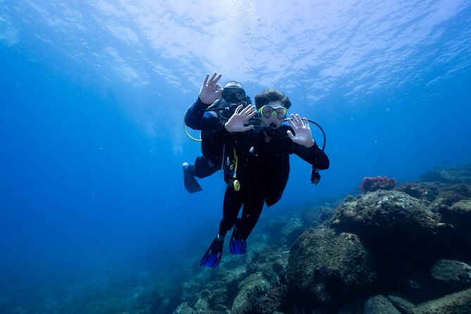 Try Scuba Diving at Cook Island – Guided Ocean Dive with Turtles - Why Cook Island works so well for a first try