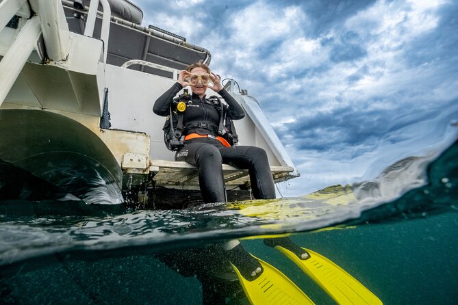 Try Scuba Diving at Cook Island – Guided Ocean Dive with Turtles - Price and value: is $192.94 a fair deal for this day?