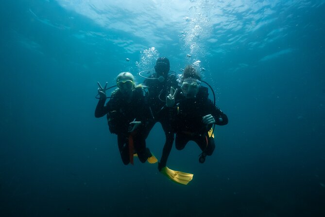 Try Scuba Diving at Cook Island – Guided Ocean Dive with Turtles - Weather rules and the smart way to plan your booking