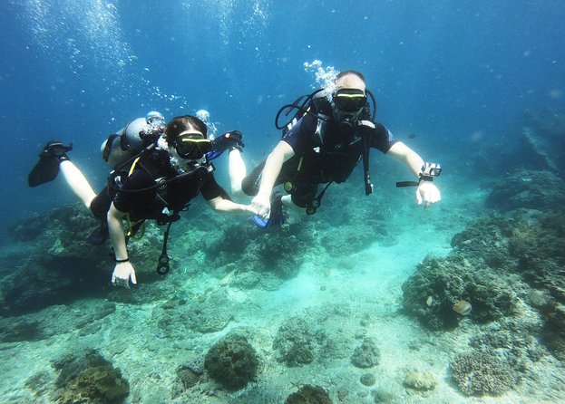 Try Scuba Diving at Padang Bai - The 8-Hour Schedule: From Hotel Pickup to Two Underwater Sessions