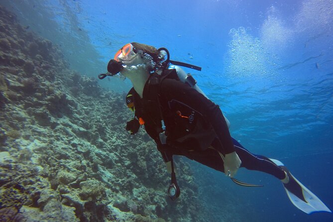 Try Scuba Diving Experience for Beginners in Hurghada - Weather, small-print realities, and how to plan smart