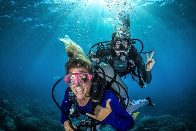 Try Scuba Diving Experience in Fujairah - Key highlights you can plan around