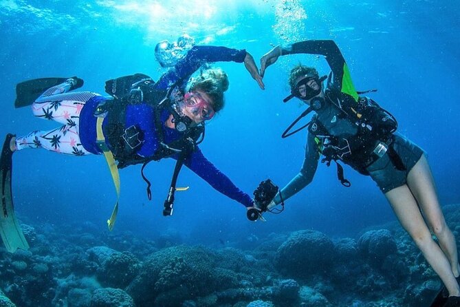 Try Scuba Diving Experience in Fujairah - Who should book this (and who might want another plan)