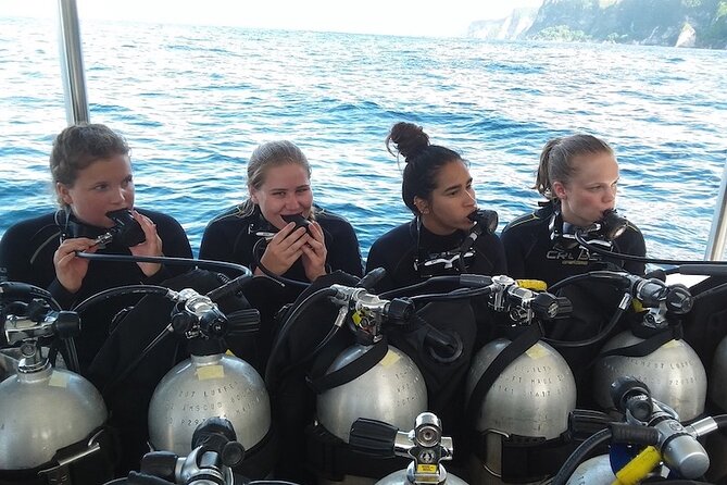 Try Scuba Diving for Beginners with manta rays (Non - Certified) - Key highlights you’ll feel right away