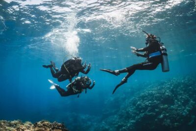 Try Scuba Diving from Boat in Budva - Budva Diving Center - What You Do Before Going Under: Briefing That Actually Guides