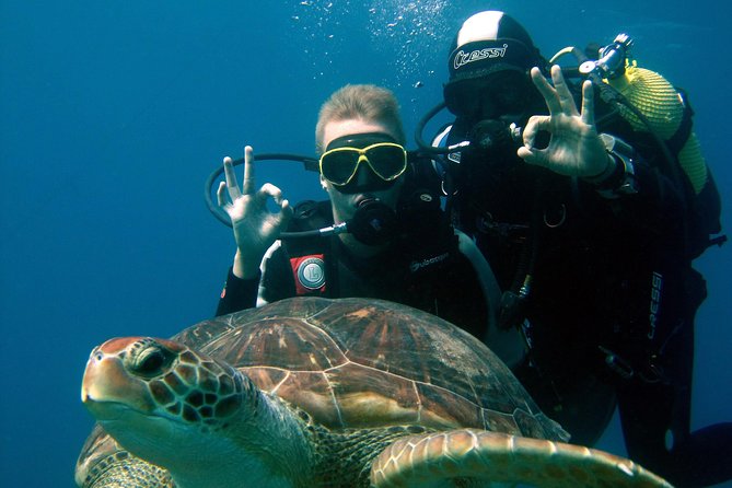 Try Scuba Diving in a turtle area (boat) - Key Highlights I’d Prioritize