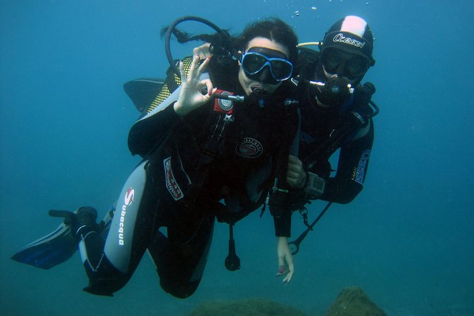 Try Scuba Diving in a turtle area (boat) - Where You Start in Costa Adeje (and Why It Matters)