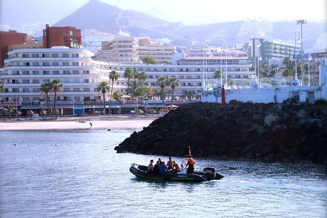 Try Scuba Diving in a turtle area (boat) - Price and Value: Is $84.66 a Good Deal?