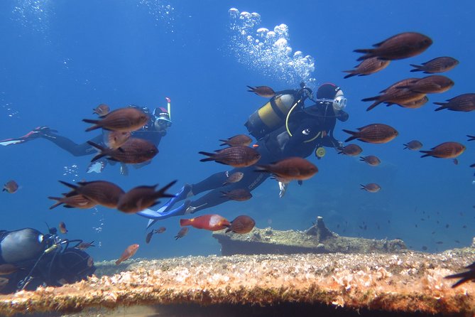 Try Scuba Diving in Amorgos - Key highlights worth knowing