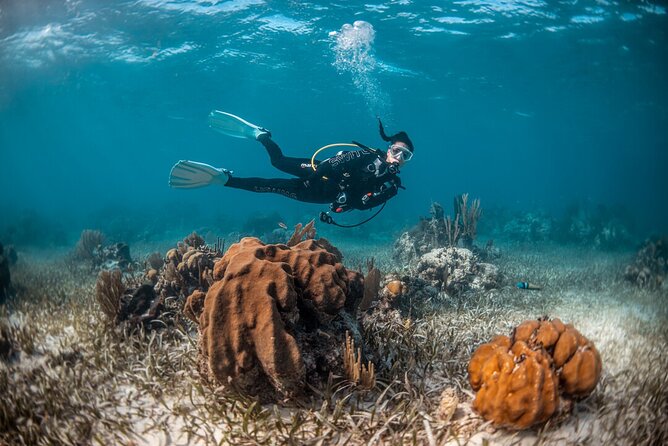 Try Scuba Diving in Amorgos - Family friendly for kids aged 8 and up