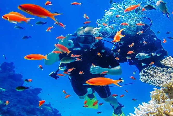 Try Scuba Diving In Havlock - The 30-Minute Plan: Training on Shore, Then Your Underwater Time