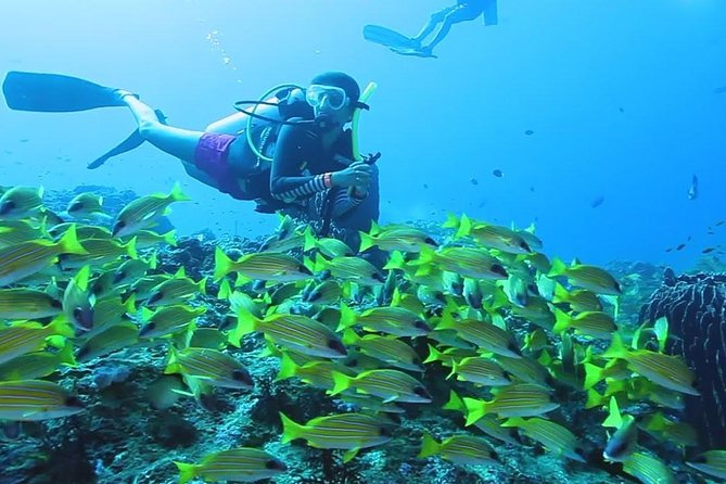Try Scuba Diving In Havlock - Timing Tips for a Smooth Morning Start