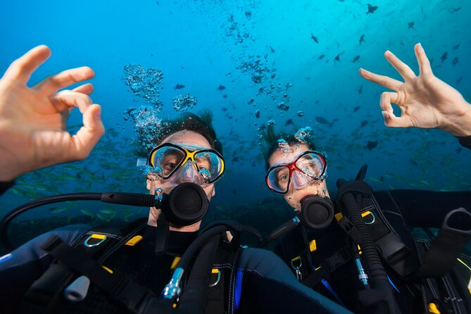 Try Scuba Diving in Kauai From a Boat: No Experience Necessary - Key Highlights You’ll Care About