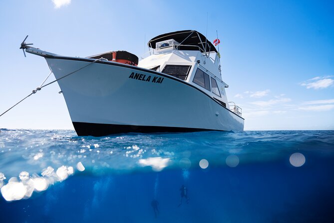 Try Scuba Diving in Kauai From a Boat: No Experience Necessary - First-Time Scuba on Kauai: Built for Confidence