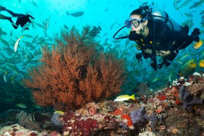Try Scuba Diving in Kauai From a Boat: No Experience Necessary - The Land Practice Portion: Safety, Skills, and Hand Signals