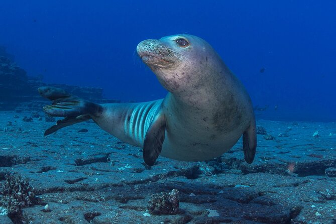 Try Scuba Diving in Kauai From a Boat: No Experience Necessary - Stop 1: Spouting Horn and the South Shore Feel