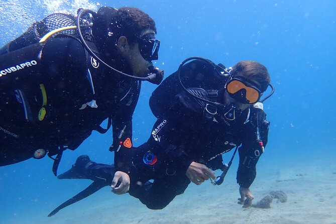 Try Scuba Diving in Lanzarote (No experience needed) - Key things I’d circle before you book