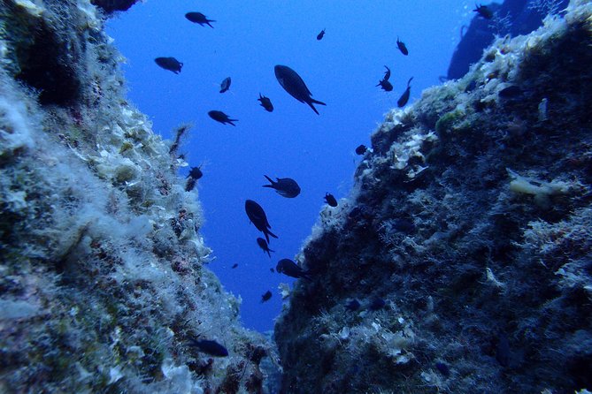 Try Scuba Diving in Lanzarote (No experience needed) - Small-Group Coaching With Real Safety Focus