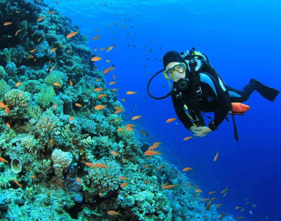 Try Scuba Diving in Racha Yai/noi: 2 Dives for Non-Certified - Key things to know before you try scuba in Racha Yai and Noi