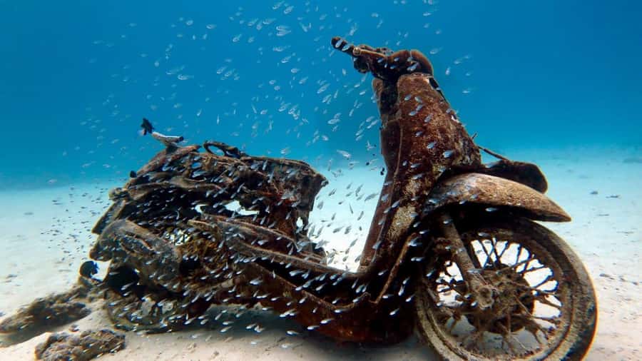 Try Scuba Diving in Racha Yai/noi: 3 Dives for Non-Certified - Key highlights that matter (and why)