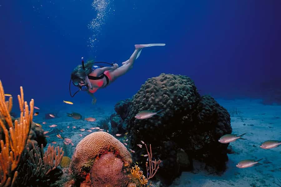 Try Scuba Diving in Racha Yai/noi: 3 Dives for Non-Certified - Getting your gear and first steps: learning without needing to know how to swim