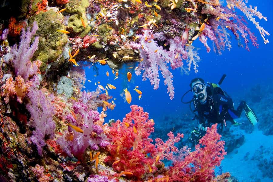 Try Scuba Diving in Racha Yai/noi: 3 Dives for Non-Certified - How the day actually runs from Phuket pickup to island breaks