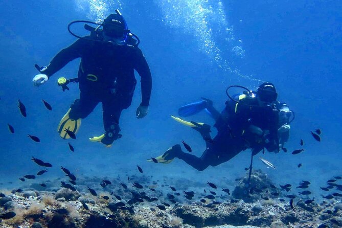 Try Scuba Diving in Split - Key highlights you’ll feel right away