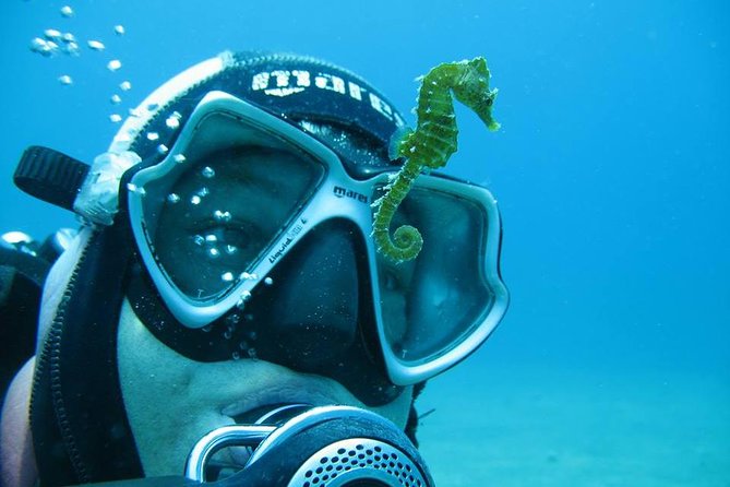 Try Scuba Diving in Split - Why Split’s Coast Works for a First-Run Scuba Course