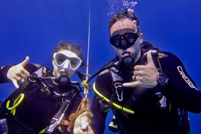 Try Scuba Diving on Kaua’i with Sea Turtles - How the 4 Hours Feels: Timing, Energy, and What You Should Plan