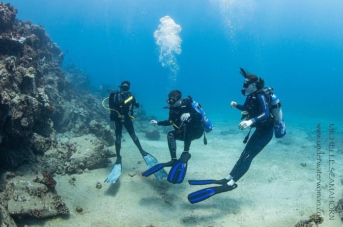 Try Scuba Diving on Kaua’i with Sea Turtles - Who This Experience Fits Best (and Who Might Feel Frustrated)