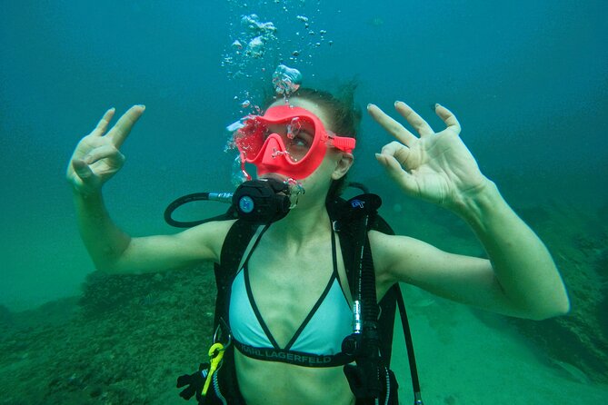 Try Scuba Diving & snorkeling with BBQ lunch in Fujairah - Key highlights at a glance