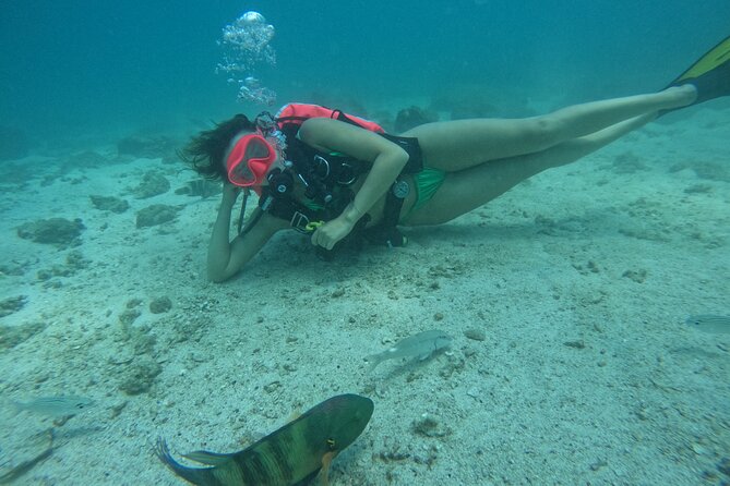 Try Scuba Diving & snorkeling with BBQ lunch in Fujairah - The PADI Discovery flow: from calm training to open-water confidence