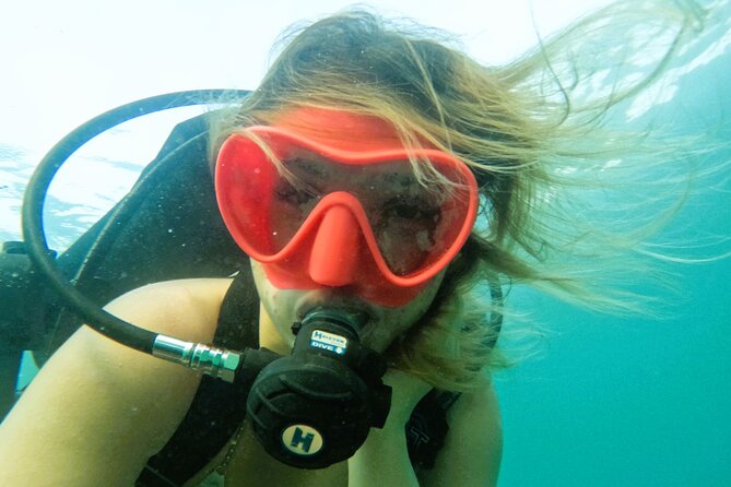 Try Scuba Diving & snorkeling with BBQ lunch in Fujairah - Snorkeling is part of the deal, not an afterthought