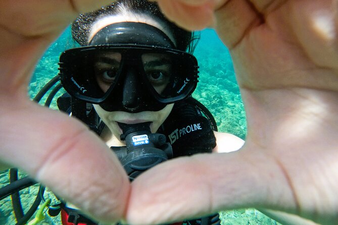 Try Scuba Diving & snorkeling with BBQ lunch in Fujairah - Price and value: what $125.59 buys you