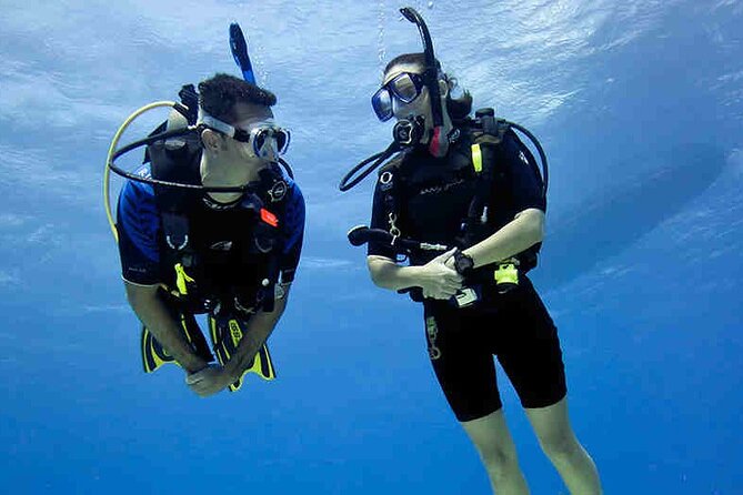 Try Scuba Diving & snorkeling with BBQ lunch & Transfer - Snorkeling + Spotting Marine Life: Reef Time Without the Pressure