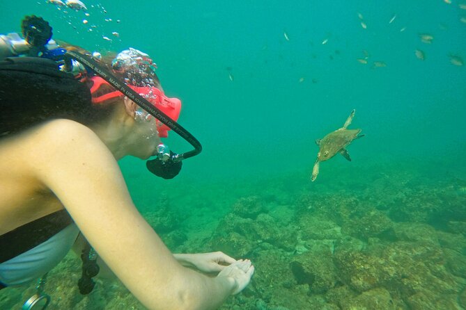 Try Scuba Diving & snorkeling with BBQ lunch & Transfer - What It’s Like Underwater: Coral, Color, and Instructor Comfort