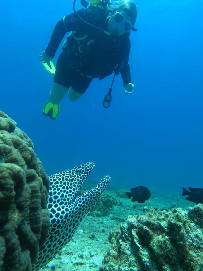 Try scuba Diving Tours To Daymaniyat Islands. - The boat ride: a quick 25 minutes to get you ready