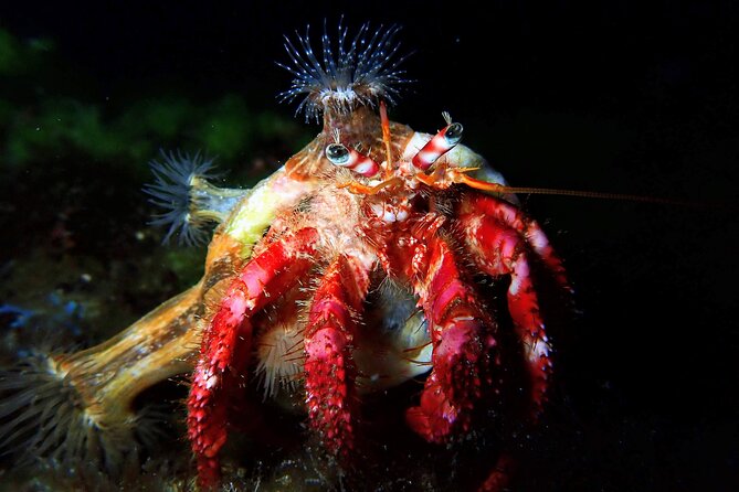 Try Scuba Diving with 2 Ocean Dives - Surface break and snack time: reset before the second go