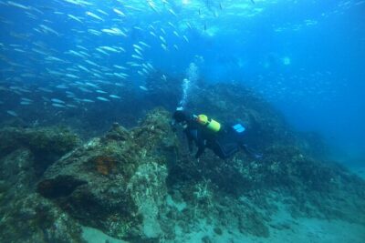 Try Scuba Diving with 2 Ocean Dives - Before you go underwater: equipment, insurance, and calm coaching