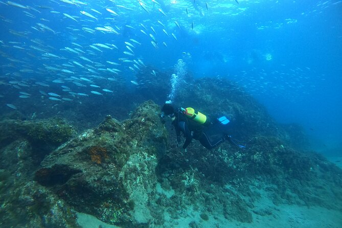Try Scuba Diving with 2 Ocean Dives - Before you go underwater: equipment, insurance, and calm coaching