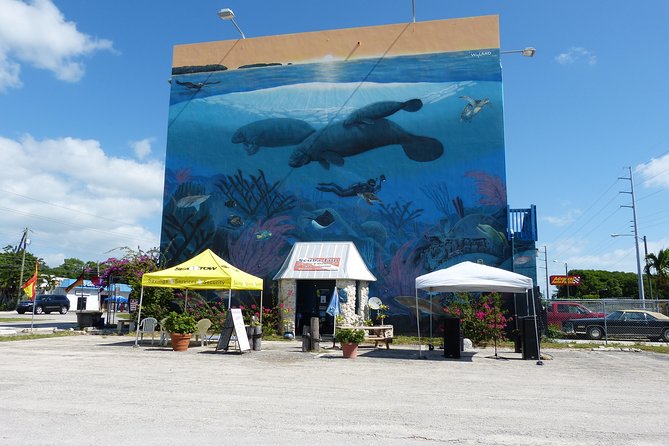 Try Scuba Diving with Professional Scuba Instructor - Key Largo try-scuba in one glance: price, timing, and who it suits