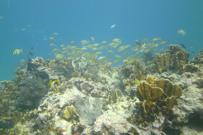 Try Scuba Diving with Professional Scuba Instructor - Before you go: the small-group setup and the day flow