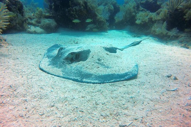 Try Scuba Diving with Professional Scuba Instructor - Classroom briefing and gear fitting: where the fundamentals start