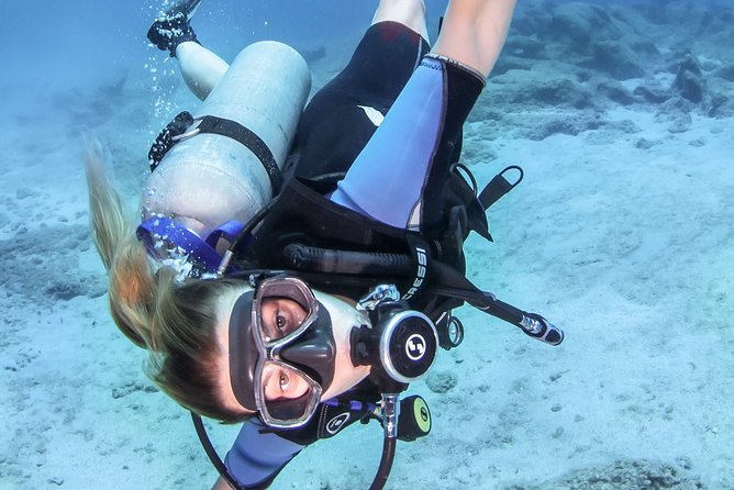 Try Scuba in Crete – Free Certification & Photos (Beginners) - Expectation check: sea life, visibility, and how to read “gorgeous water”