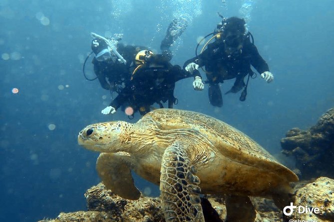 TRY SCUBA (non diver) - Key things to know before you try scuba in Semporna