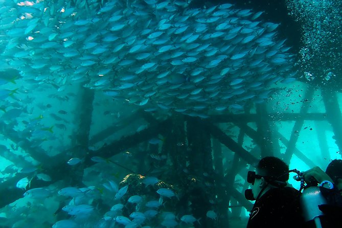 TRY SCUBA (non diver) - What’s included (and what you’ll want to bring)