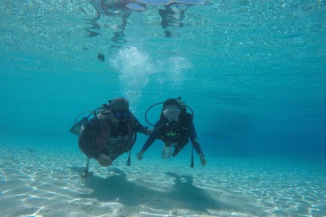 TRY SCUBA (non diver) - Price and value: is $122.25 per person worth it?