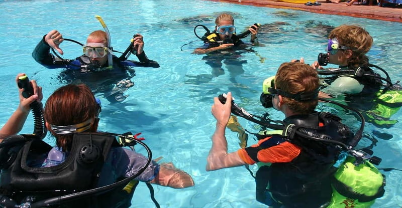 Tučepi: Adriatic Sea Diving Lessons with Guided Dive & Gear - Key highlights you’ll feel fast