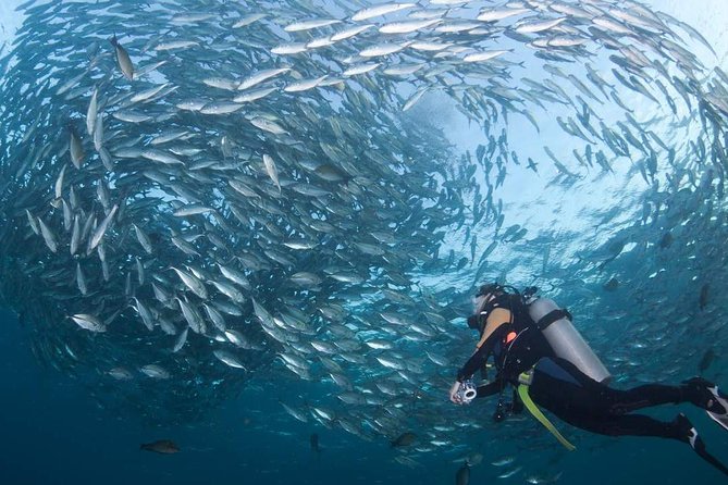 Tulamben Diving Tour Shipwreck USS Bali - Key things I would clock before you go to Tulamben