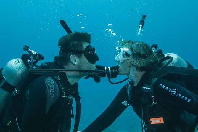 Tulamben Diving Tour Shipwreck USS Bali - Two 35-minute underwater sessions: how the schedule works for real humans
